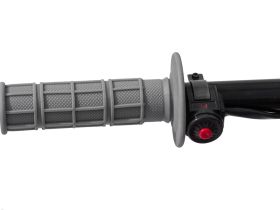 Мотоцикл REGULMOTO Pilot 110EA 14/12 PITBIKE