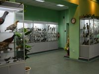 Выставочный зал Кировского городского зоологического музея на ул. Советской