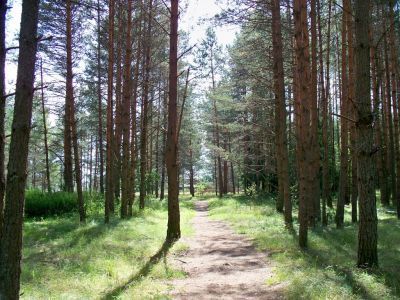 Усадебный парк