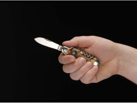 Мультитул Boker Camp Knife Stag, сталь 4034, рукоять никель/рог