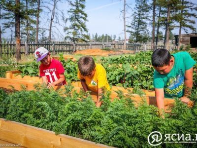 В Якутии состоится первый этап всероссийского конкурса школьников «АгроНТРИ»