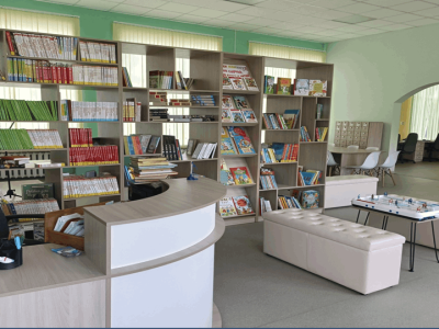 Майнская детская модельная библиотека