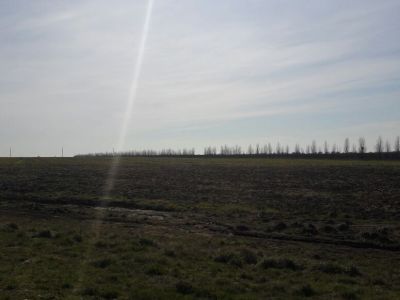 Остатки Некрасовского городка