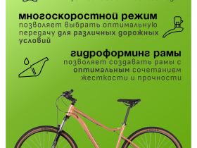 Женский велосипед Foxx Stinger Laguna 29, год 2025, цвет Коричневый, ростовка 20