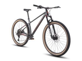 Горный велосипед Hagen 3.10 29, год 2025, цвет Красный, ростовка 18