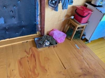 Вынесен приговор по делу об убийстве в Таттинском районе