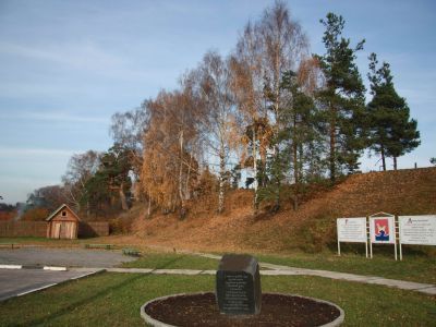 Дерево-земляные укрепления г. Городца