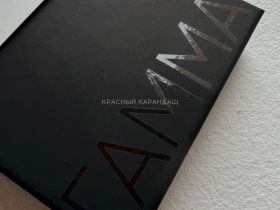 Набор пастели сухая Гамма, 24 цвета, картон. упак.