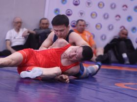В Якутске выявили чемпионов республики по вольной борьбе среди ветеранов