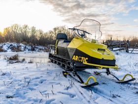 Снегоход БТС Arctic 4Т Лонг 20 л.с.