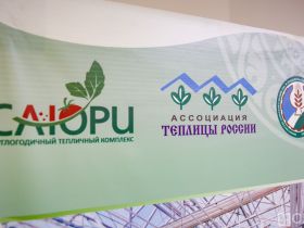 Предложения по развитию тепличного овощеводства выработают в Якутии