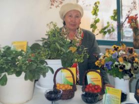 «Ранетки лежали под снегом»: история первого в Якутии яблоневого сада