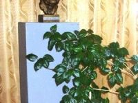 Библиотека № 9 имени В. В. Карпенко (дарственных книг)