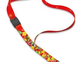 Складной нож детский My First Victorinox Parrot Edition 9 функций, шнурок на шею, книга-раскраска