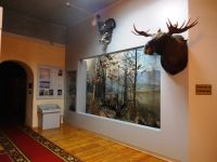 Историко-этнографический музей с. Языково