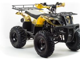 Квадроцикл MOTOLAND 150 Maverick