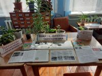 Малоозерская сельская библиотека-филиал