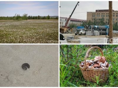 Обзор популярных и интересных новостей за 30 июля в Якутии