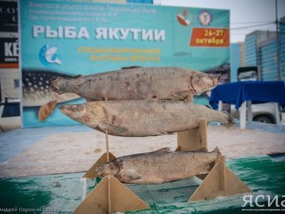 Ярмарка «Рыба Якутии» состоится в выходные в Якутске