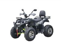 Квадроцикл RMOTO Lion X 200