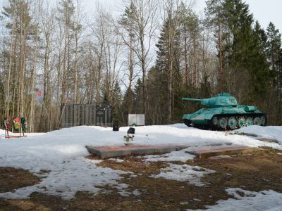Братская могила воинов, погибших в годы Великой Отечественной войны 1941-1945 гг.