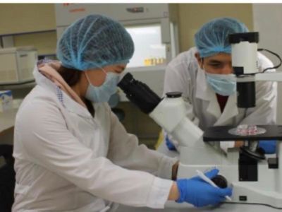 Высшая школа экономики: России нужна национальная программа по возвращению ученых в страну