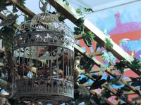 Народный театр-студия «Премьер»