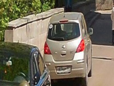 Ограда (фрагмент)