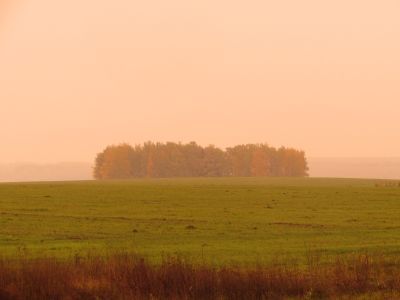 Священная роща