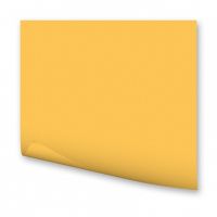 Бумага цветная Folia А4 300 г золотой металлик