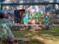 Бадинский сельский клуб