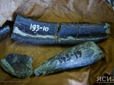 О сунтарских динозаврах снимут документальный фильм