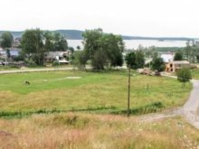 Родина известного зоолога В.В. Станчинского