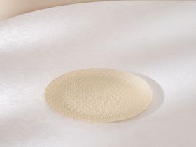 Тарелка Perla radiosa