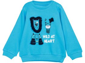 Толстовка детская трикотажная для мальчиков