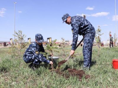 Сотрудники УФСИН Якутии высадили деревья в Парке Победы