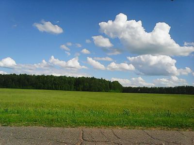 Священная роща