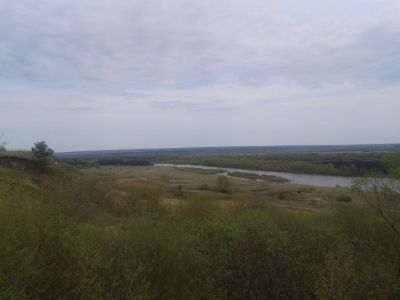 Воеводские луга