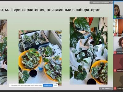 Идет защита проектов районного конкурса «Дети - детям»