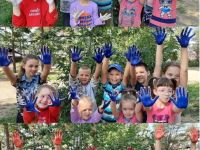 Центральная детская библиотека пгт Атамановка