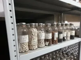 В Якутске начался эксперимент по длительному хранению продуктов в криохранилище