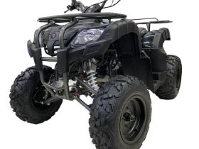 Квадроцикл MOTAX ATV Grizlik 200