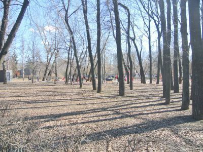 Парк на ул. Руставели