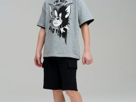 Фуфайка трикотажная для мальчиков (футболка)