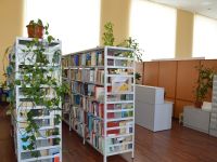 Библиотечно-информационный центр «Радуга»