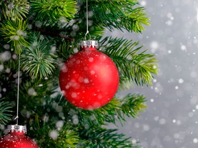 В ожидании чуда. Новогодний концерт