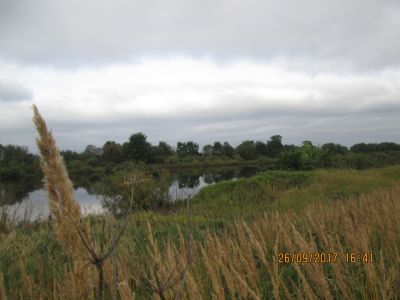 Памятник-дот на рубеже обороны советских войск в 1941 г.