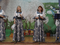 Елатомский сельский дом культуры