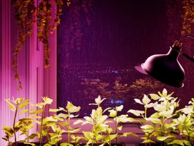 Умная лампа Sber SBDV-00115 (цоколь E27)