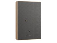 Распашной шкаф Монблан 3-139x215 Ритм Графитовый